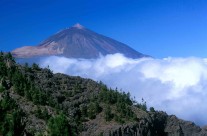 Les meilleurs endroits à visiter à Tenerife