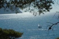 Une journée en calanques