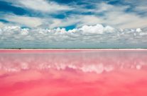 Le lagon Las Coloradas : l’incroyable lac rose du Mexique !